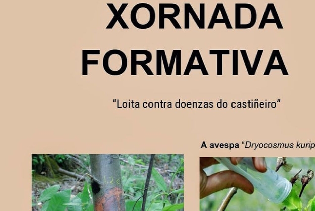 xornadas formativa castineiro pastoriza portada