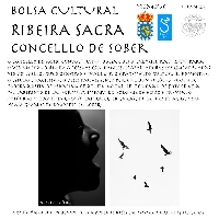 cartel bolsa cultural sober