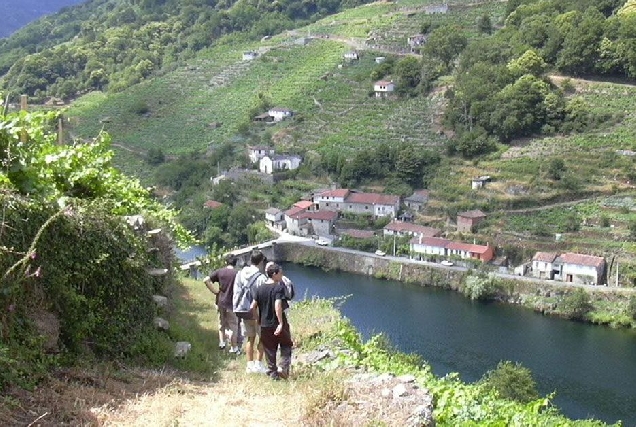 camino inverno bajando_codos_hacia_belesar