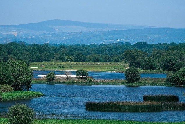 lagoa cospeito