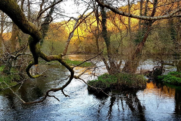 reservas da biosfera lucenses 