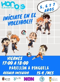 club korbis voleibol cartel