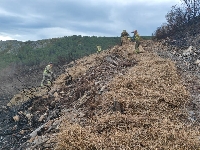 mulching_Ribas_Sil incendio lume