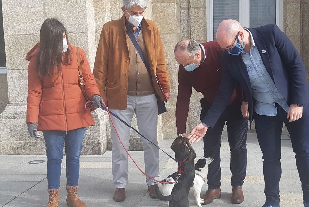 Efrén Castro Praza San Marcos dous animais Protectora