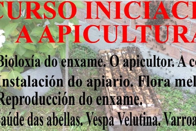 curso apicultura serra da carba vilalba portada