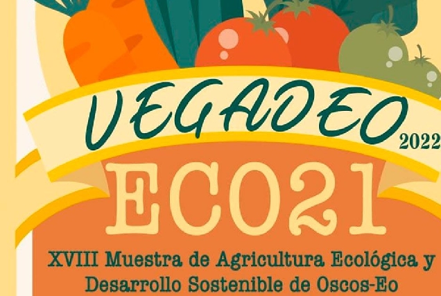 vegadeo eco 21 1