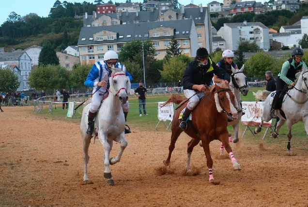 2ªEdicion-Carreiras-de-Cabalos-Viveiro1