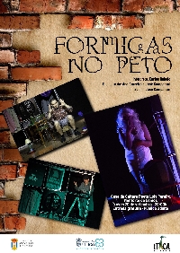 Cartel FormigasNoPeto teatro Monforte