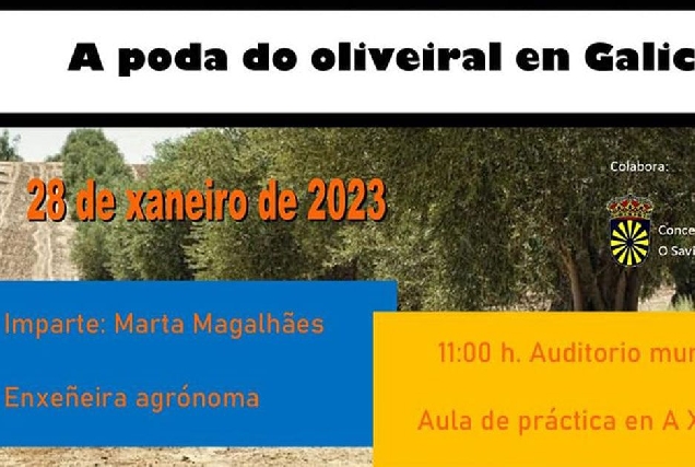 Curso á poda da oliveira O Saviáo