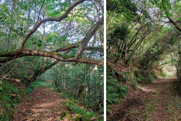 trabada acceso ruta sendeirimo fraga da vilapena