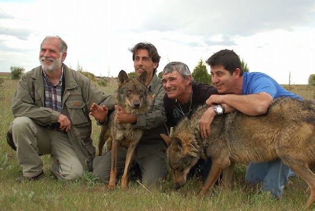 LOBOS MARCOS RODRIGUEZ