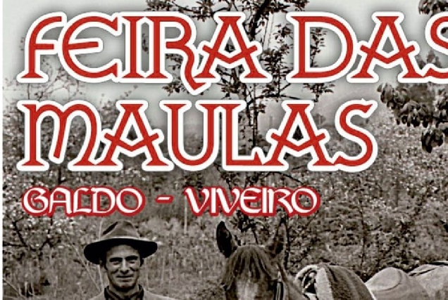 Feira das maulas 2023