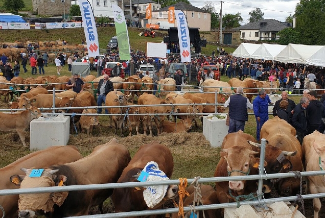 Feira en Defensa do Gandeiro en Cervantes4