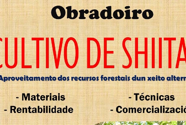 Obradoiro cultuvo Shitake Cervantes