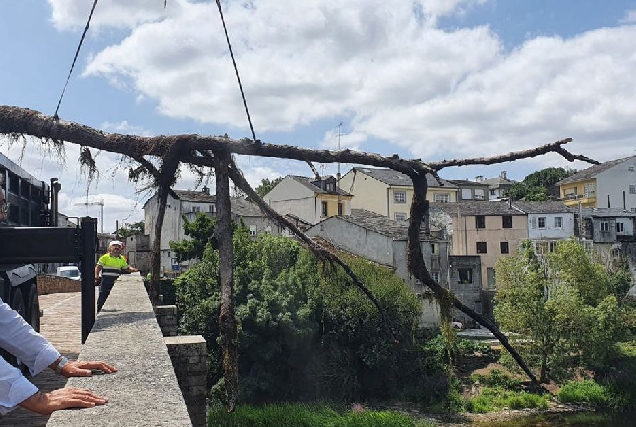 RETIRADA DE ARBORES NO RIO MINO PONTE ROMANA