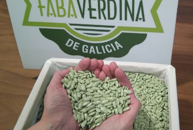 Faba Verdina de Galicia