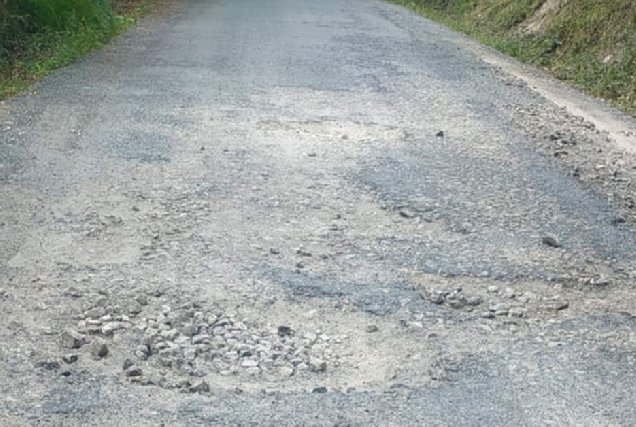 Foto Camiño Primitivo portada