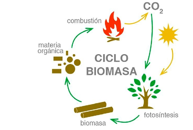 biomasa ciclo combustion