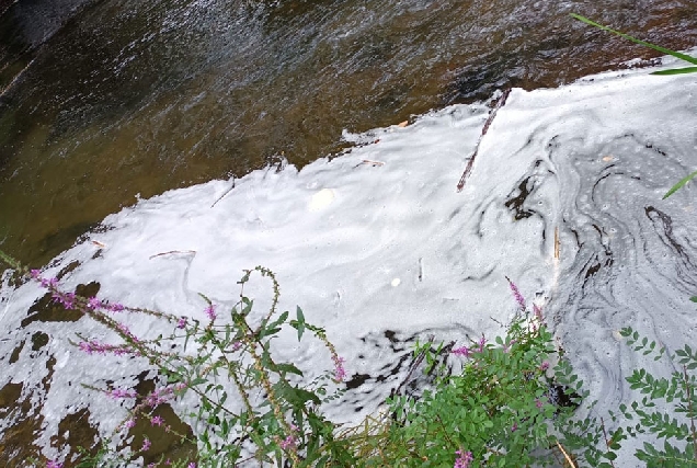 vertedura Río Cabe en Ribas Altas