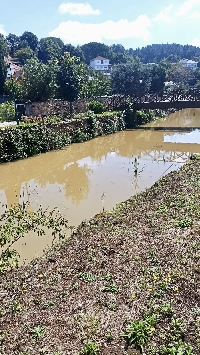 Rio lodo A Pobra do Brollón