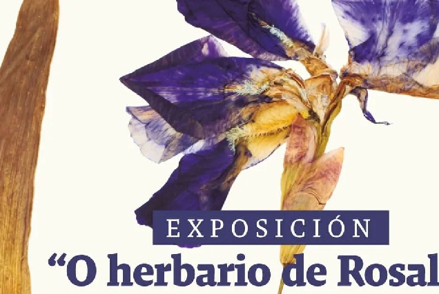 exposicion fonsagrada o herbario de rosalia 2023