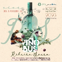 viño bus ribeira sacra