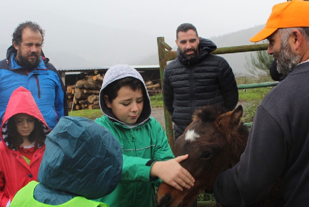 visita gandaria pontenova ceip terra cha