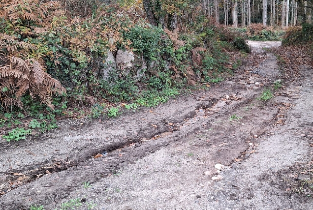 caminos castroverde mal estado