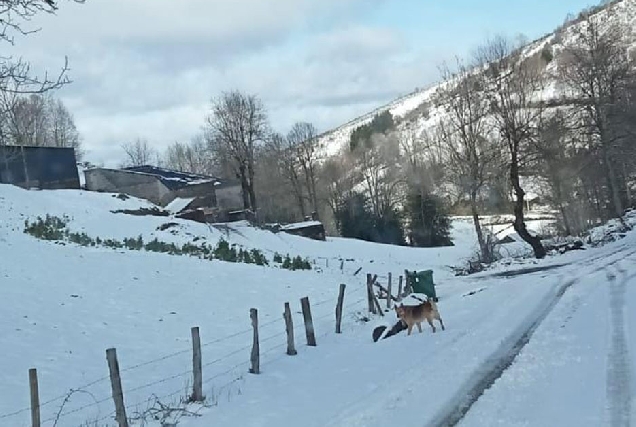 2024 neve Estrada das Nogais