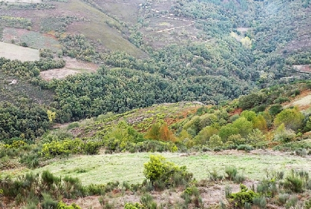 Patrimonio Ancares- Navia de Suarna-Os Castros