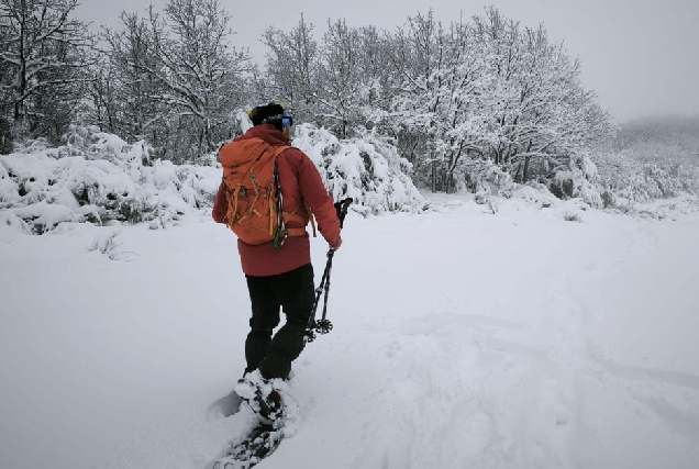 Courelendo neve