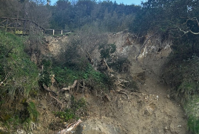 Imaxe dos derrubamentos no Parque das Trece Rosas en Santa Cruz