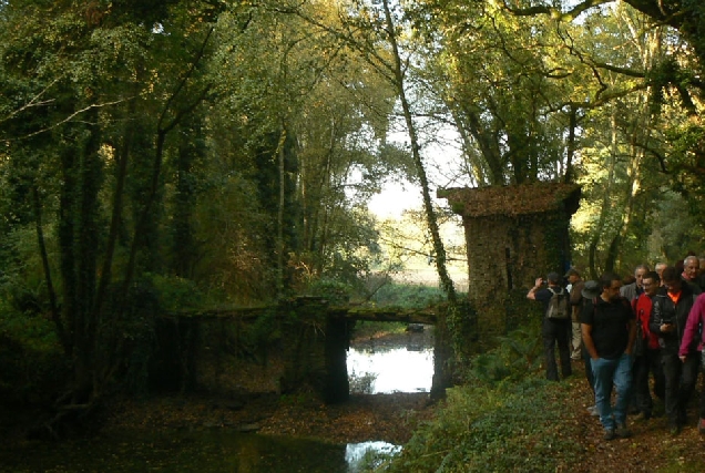 ponte maiordomo taboi outeiro de rei