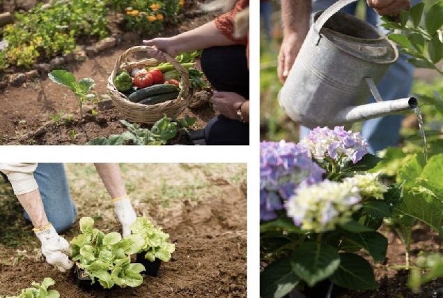 curso-agrucultura-ecoloxica-barbadas