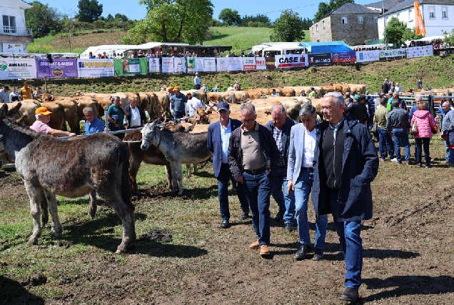 Feira do Gandeiro da Montaña de Cervantes_