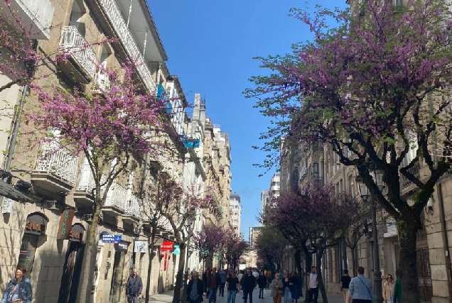 Rúa do Paseo, Ourense