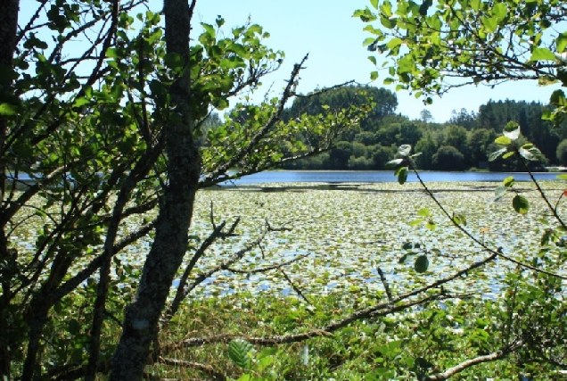 Imaxe da lagoa de Sobrado