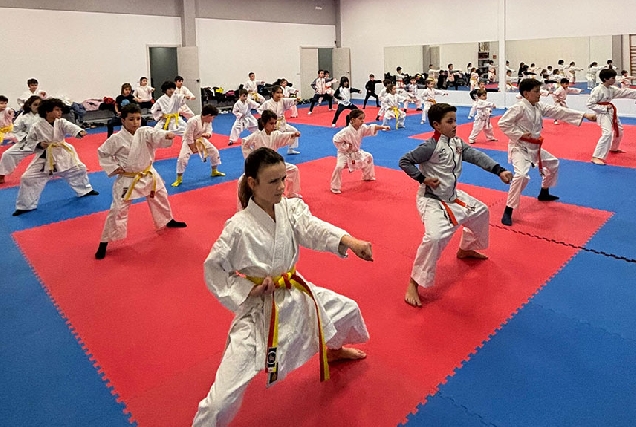 Escuela-Deportiva-Shihan