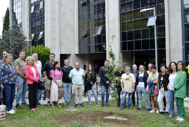 O Campus de Ourense planta a súa árbore número mil